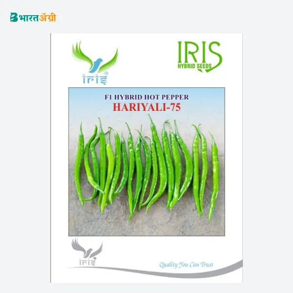 Iris HARIYALI 75 F1 Hot Pepper Seeds - BharatAgri