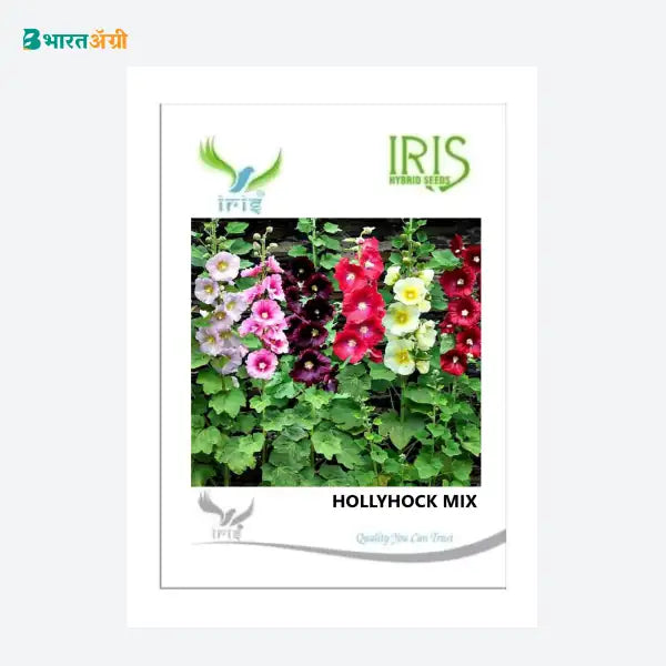 Iris Imported Hollyhock Mix Flower Seeds - BharatAgri