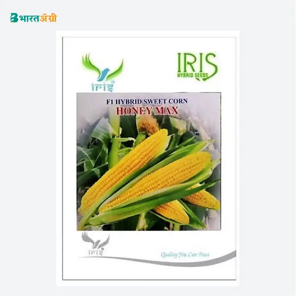 Iris Honey Max F1 Sweet Corn Seeds - BharatAgri Krushidukan
