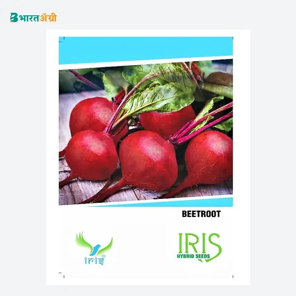 Iris Hybrid Beetroot Vegetable Seeds - BharatAgri Krushidukan