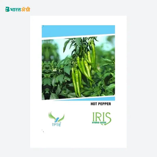 Iris Hybrid Vegetable Seeds Green Chilli (Hot Pepper) - BharatAgri