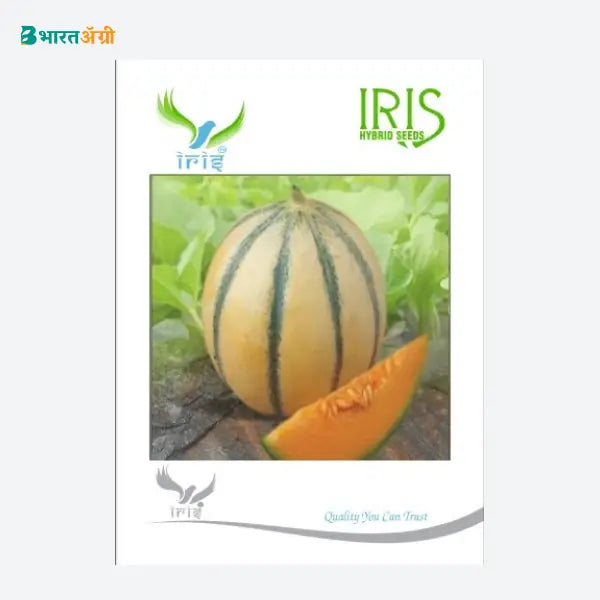 Iris Hybrid F1 Muskmelon Seeds - BharatAgri Krushidukan