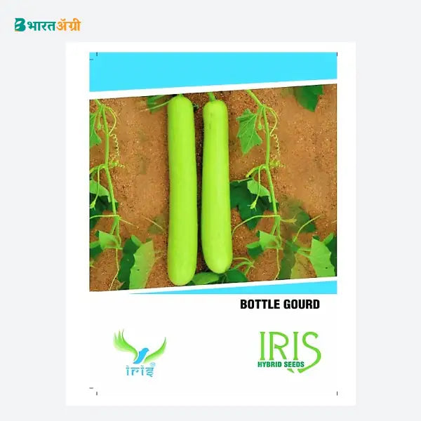 Iris Hybrid F1 Bottle Gourd Seeds (1+1 Combo)