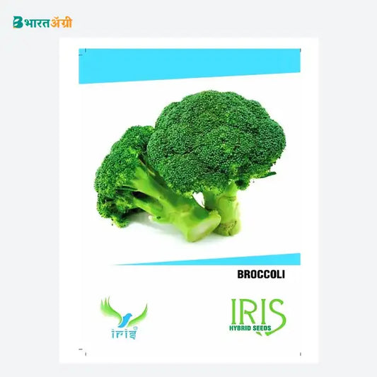 Iris Hybrid Broccoli (15 SEEDS) Vegetable Seeds - BharatAgri