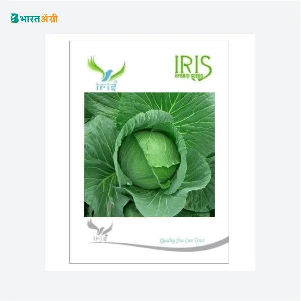 Iris Hybrid Vegetable Seeds Cabbage - BharatAgri Krushidukan