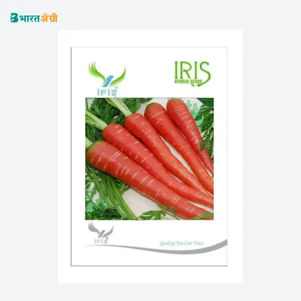 Iris Hybrid  Imported Carrot Vegetable Seeds - BharatAgri Krushidukan