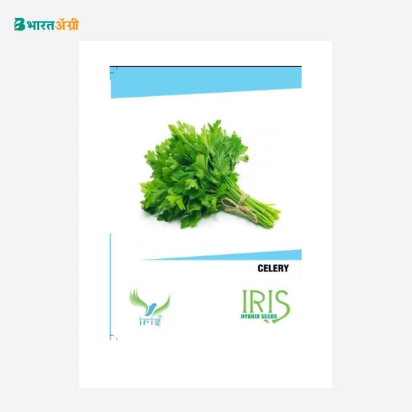 Iris Imported Celery Vegetable Seeds - BharatAgri