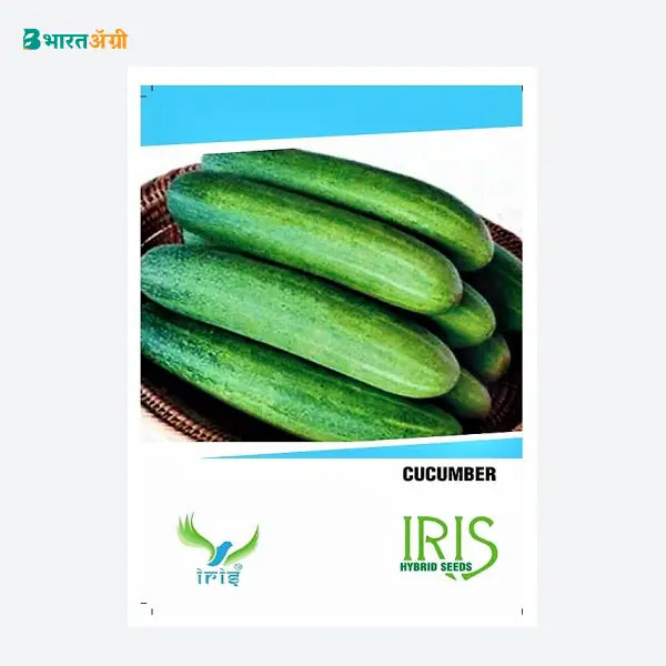 Iris Hybrid F1 Cucumber Seeds - BharatAgri Krushidukan