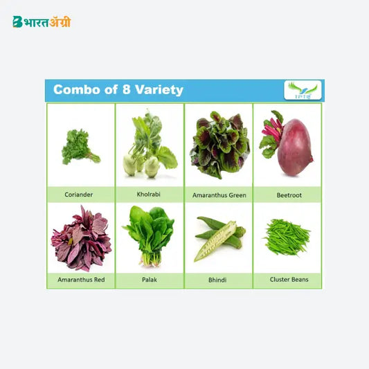 Iris Hybrid Pack of 8 Variety of Vegetables Seeds - BharatAgri