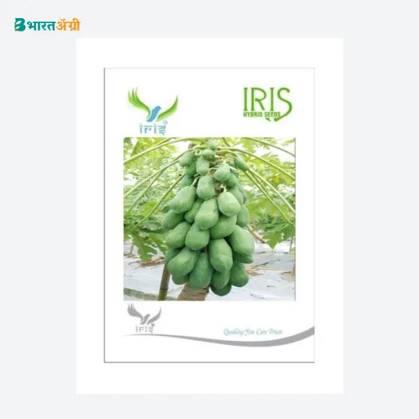 Iris Hybrid F1 Papaya Seeds - BharatAgri Krushidukan