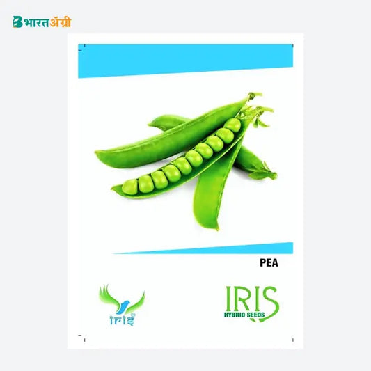 Iris Hybrid Peas Vegetable Seeds - BharatAgri Krushidukan