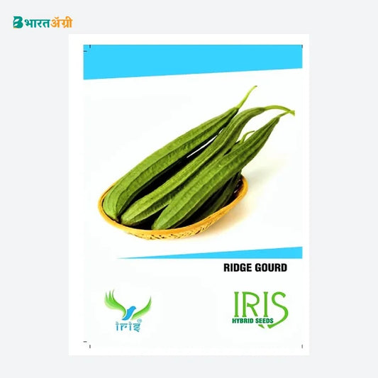 Iris Hybrid Vegetable Seeds Ridge Gourd - BharatAgri Krushidukan