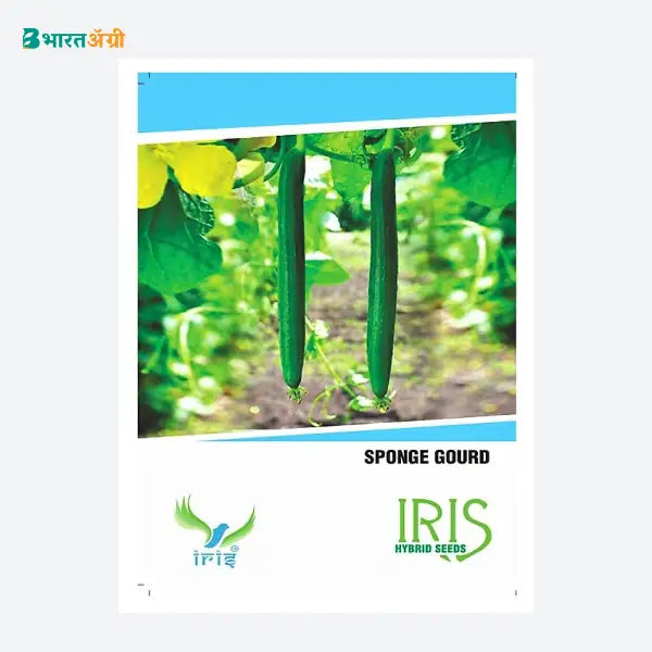 Iris Hybrid Vegetable Seeds Sponge Gourd - BharatAgri Krushidukan