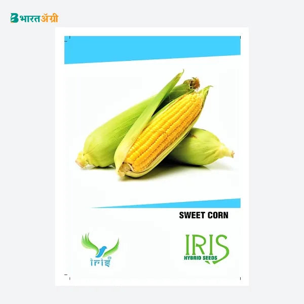 Iris Hybrid Vegetable Seeds Sweet Corn - BharatAgri Krushidukan