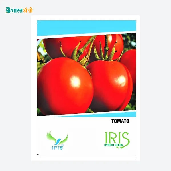 Iris Hybrid Tomato Vegetable Seeds - BharatAgri Krushidukan