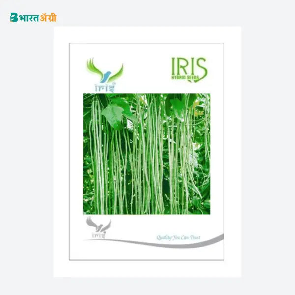Iris Hybrid Vegetable Seeds Yard long Beans - BharatAgri Krushidukan