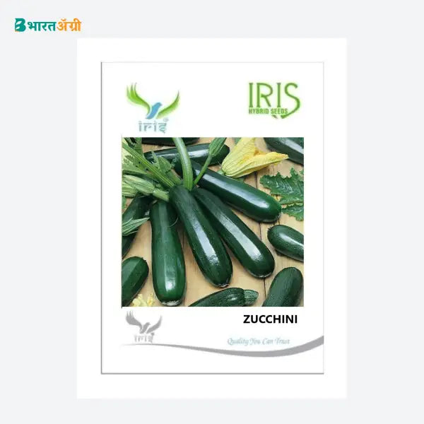 Iris Hybrid F1 Zucchini Seeds - BharatAgri Krushidukan