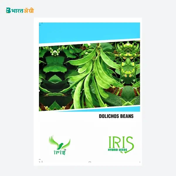 Iris Hybrid Vegetable Seeds Dolichos Beans - BharatAgri Krushidukan