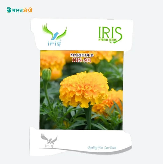 Iris IHS-501 Orange Marigold Flower Seeds | BharatAgri Krushidukan
