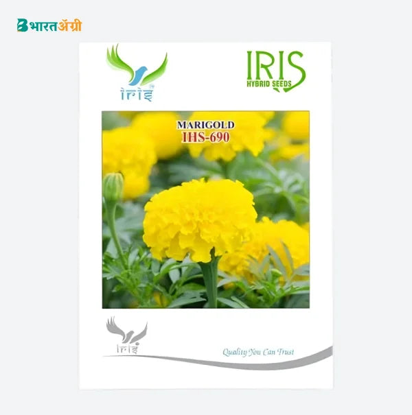 Iris IHS-690 Yellow Marigold Flower Seeds | BharatAgri Krushidukan
