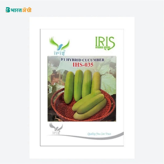 Iris IHS-035 F1 Cucumber Seeds - BharatAgri Krushidukan