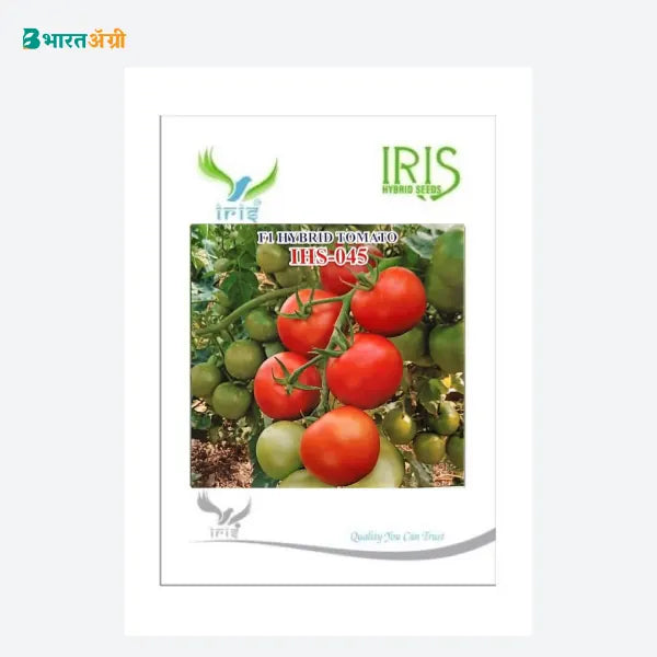 Iris IHS 045 F1 Tomato Seeds - BharatAgri Krushidukan