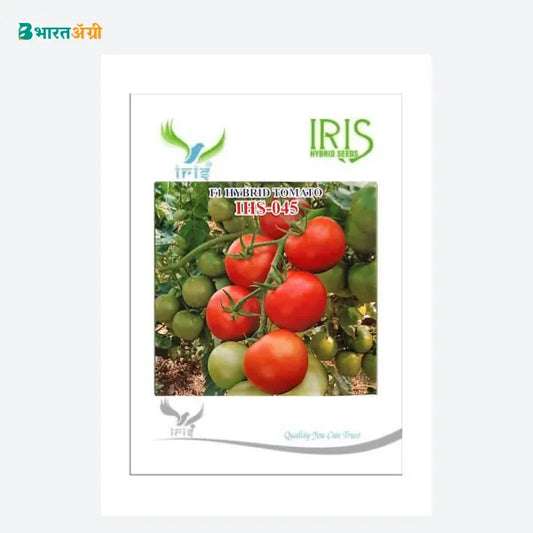 Iris IHS 045 F1 Tomato Seeds - BharatAgri Krushidukan