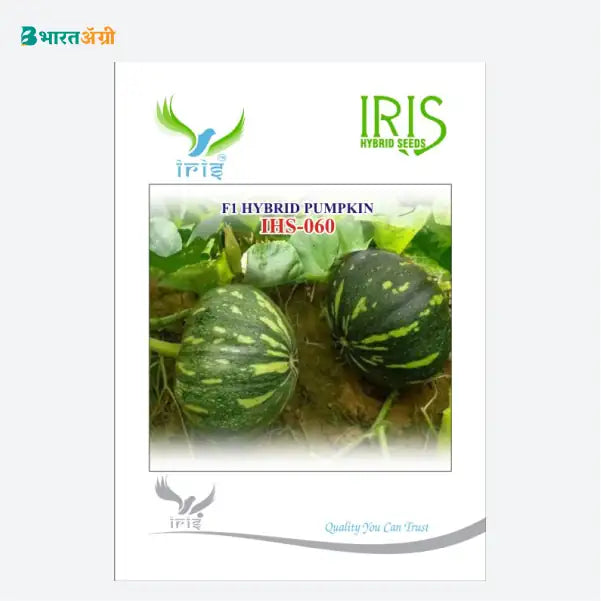 Iris IHS 060 F1 Pumpkin Seeds - BharatAgri Krushidukan