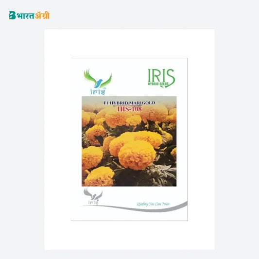 Iris IHS 108 F1 Marigold Yellow Seeds - BharatAgri