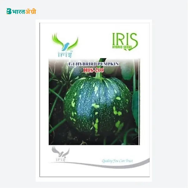 Iris IHS 205 F1 Pumpkin Seeds - BharatAgri Krushidukan