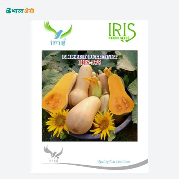 Iris IHS 375 F1 Butternut (Red Pumpkin) Seeds - BharatAgri