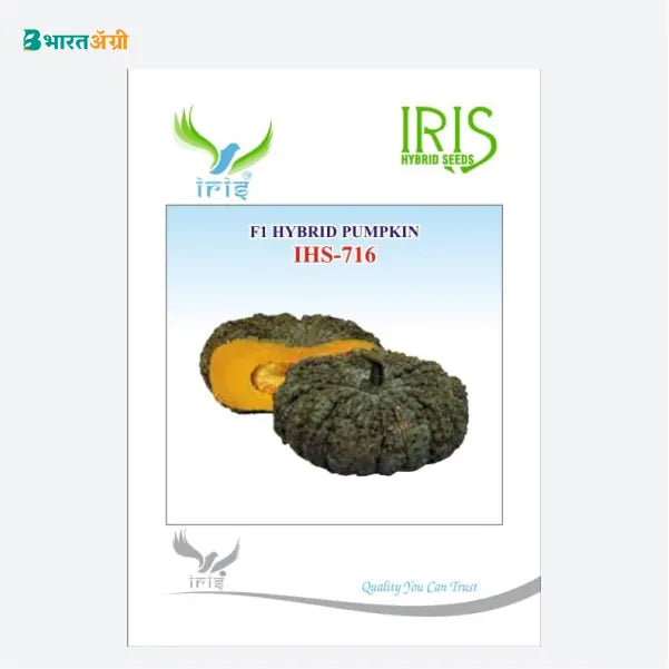 Iris IHS 716 F1 Pumpkin Seeds - BharatAgri Krushidukan