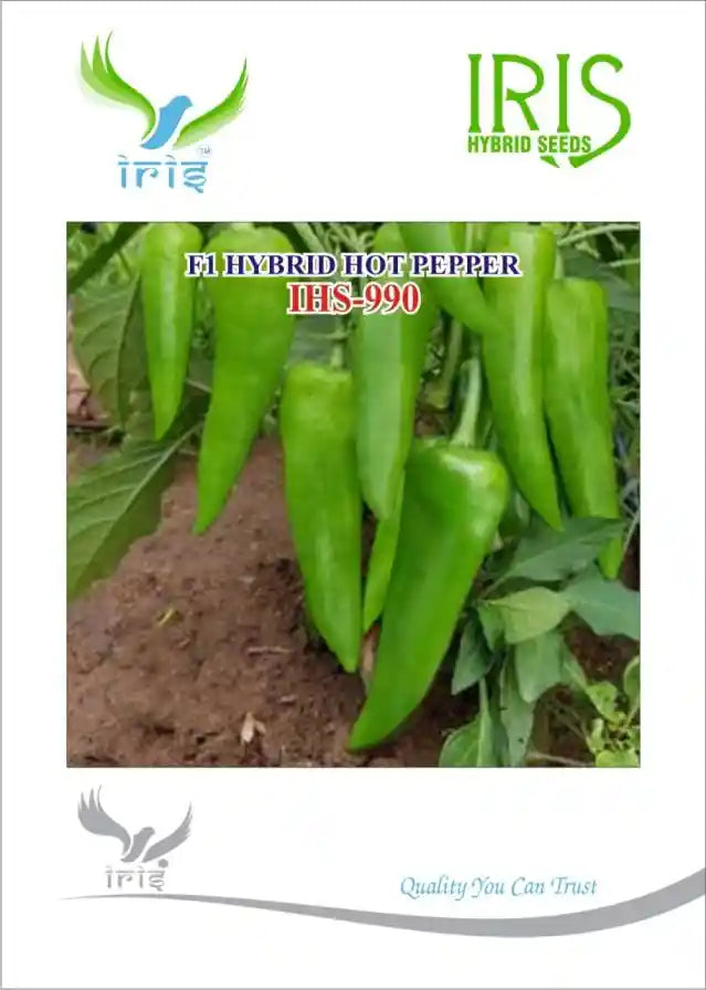 Iris IHS 990 F1 Hot Pepper Seeds - BharatAgri Krushidukan