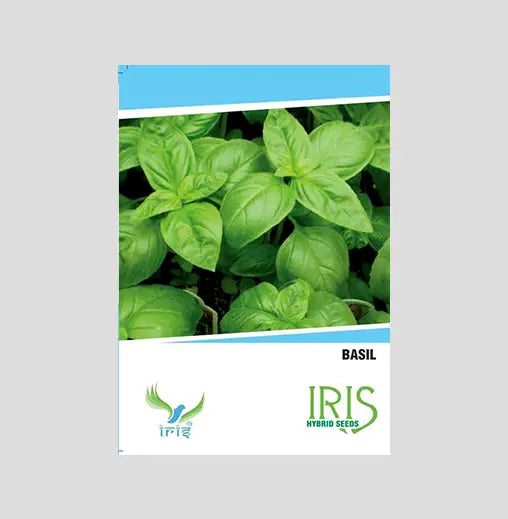 Iris Imported Basil Herb Seeds - BharatAgri Krushidukan