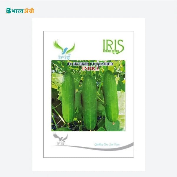 Iris Indra F1 Cucumber Seeds - BharatAgri Krushidukan