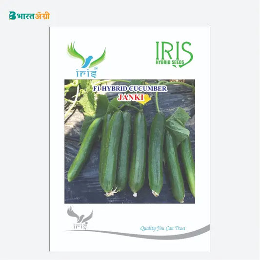 Iris Janki (Beit Alpha Type) F1 Cucumber Seeds - BharatAgri