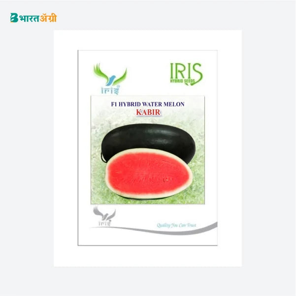 Iris Hybrid Fruit Seeds F1 Hybrid Watermelon Kabir - Ice Box Segment