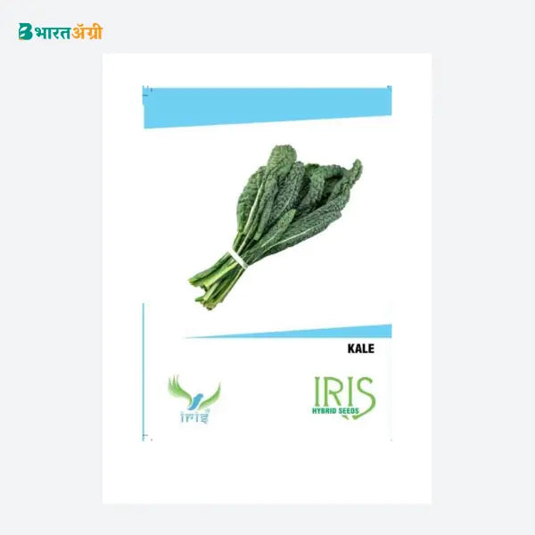 Iris Imported Kale Vegetable Seeds - BharatAgri Krushidukan