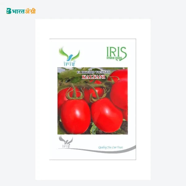 Iris Kalyani F1 Tomato Seeds - BharatAgri Krushidukan