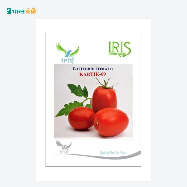Iris Kartik 09 F1 Tomato Seeds - BharatAgri Krushidukan