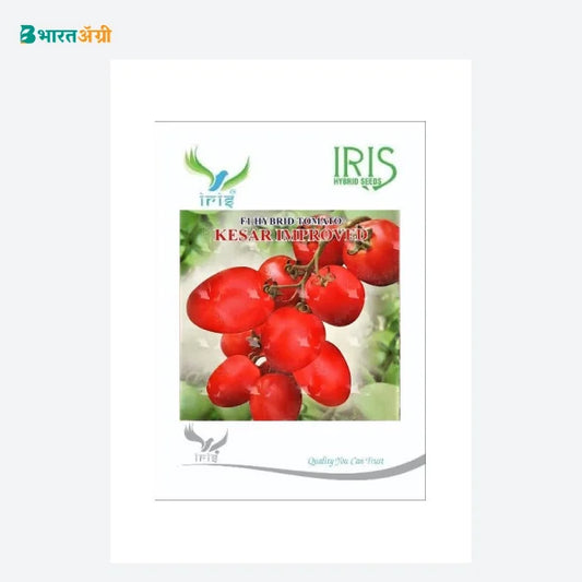Iris Kesar Improved F1 Tomato Seeds - BharatAgri