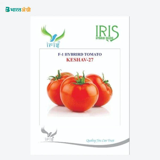 Iris Keshav 27 F1 Tomato Seeds - BharatAgri Krushidukan