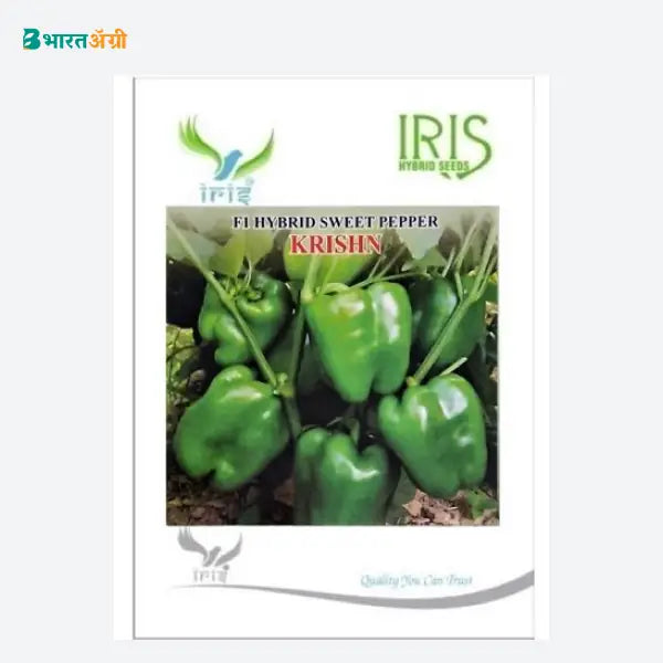 Iris Krishn F1 Capsicum Seeds - BharatAgri Krushidukan