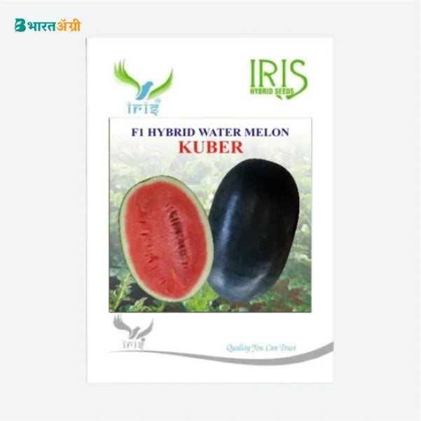 Iris Hybrid Fruit Seeds F1 Hybrid Watermelon Kuber - Sugar Baby Type