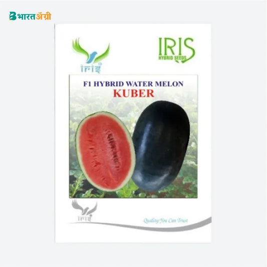 Iris Hybrid Fruit Seeds F1 Hybrid Watermelon Kuber - Sugar Baby Type