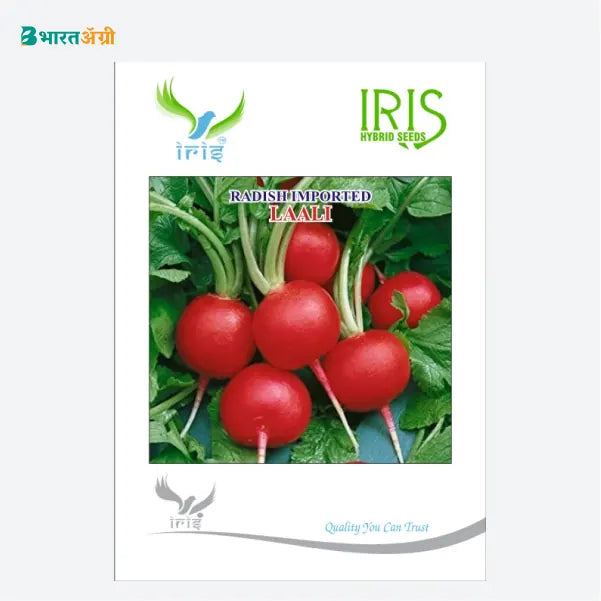 Iris Laali Radish Imported (Red) Seeds - BharatAgri