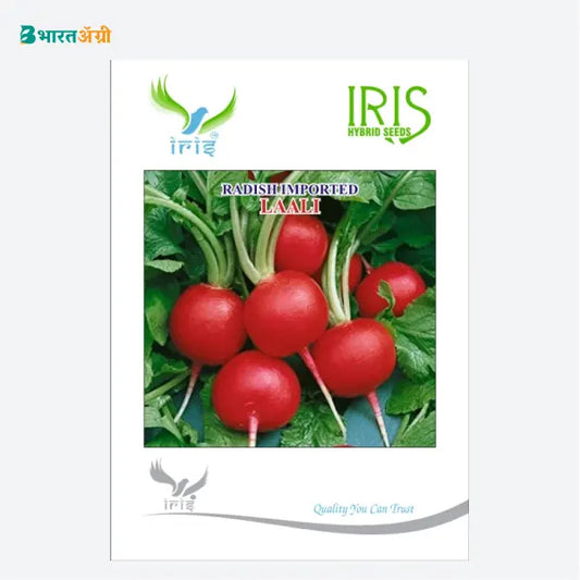 Iris Laali Radish Imported (Red) Seeds - BharatAgri