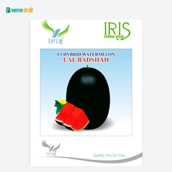 Iris Lal Badshah F1 Watermelon Seeds - BharatAgri
