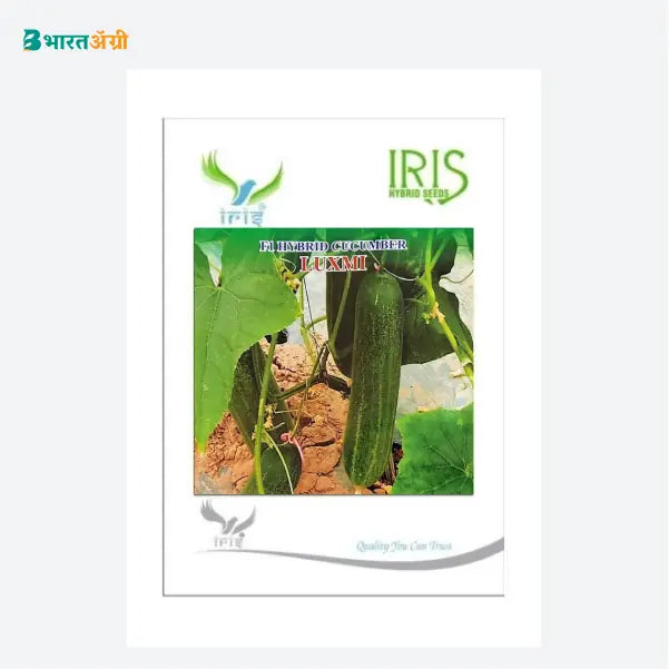 Iris Luxmi F1 Cucumber Seeds - BharatAgri Krushidukan