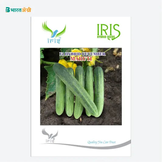 Iris Maruti F1 Cucumber Seeds - BharatAgri Krushidukan